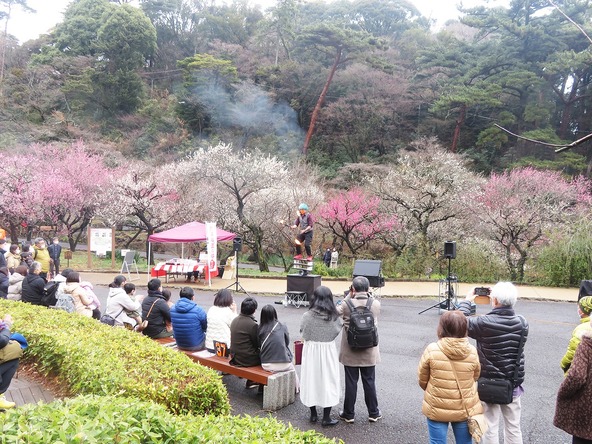 梅まつり期間中には、さまざまなイベントを開催!
