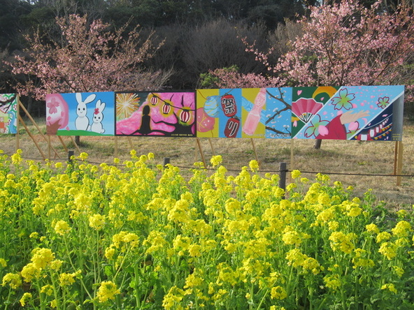 「観音崎公園さくらまつり」過去開催時の様子(画像提供:神奈川県公園協会・京急サービス共同事業体)