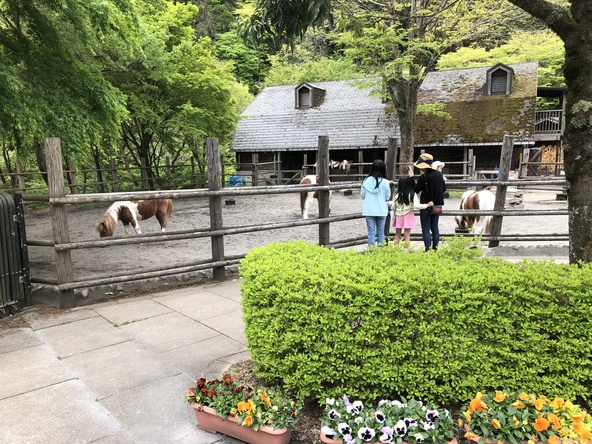 ポニーがいる「ふれあい牧場」