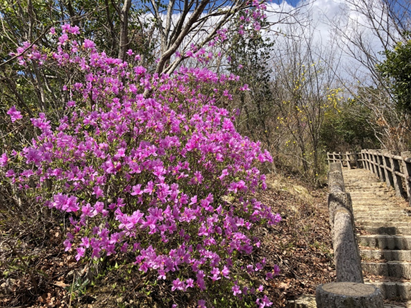 春の高御位山
