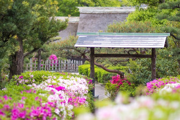つつじが咲く頃に「大倉公園」休憩棟から撮影した茅葺門(提供:大阪市 https://creativecommons.org/licenses/by/4.0/)