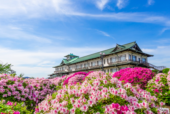 クラシカルな建物とつつじのコラボは必見!(画像提供:daysgoby_JPN / PIXTA)