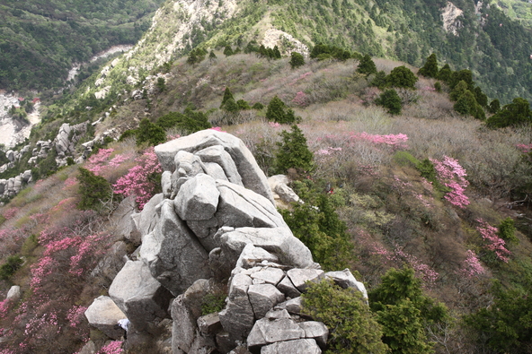 御在所岳(画像提供:三重県観光連盟 https://www.kankomie.or.jp/)