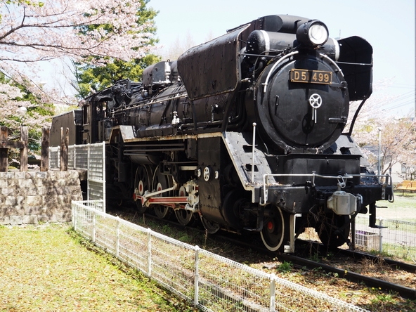 D51形蒸気機関車の展示や遊具もあり、親子の笑い声があふれる公園です(画像提供:oops / photoAC)