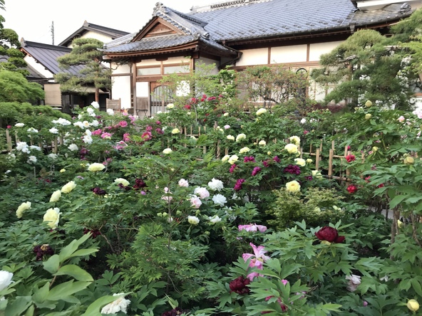 札所15番少林寺
