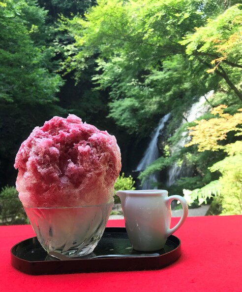 「月待の滝 もみじ苑」の「天然かき氷(ナツハゼシロップ)」夏季限定