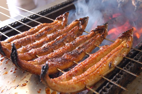 歴史のある一色産のウナギ
