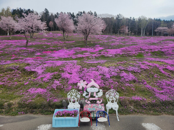 2025年5月9日の様子 駐車場上側撮影スポット