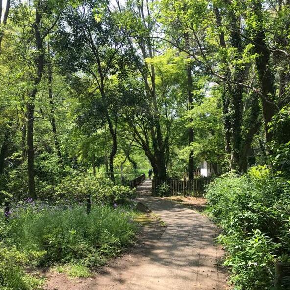 夏休みのおでかけにもぴったりな「大町公園自然観察園」