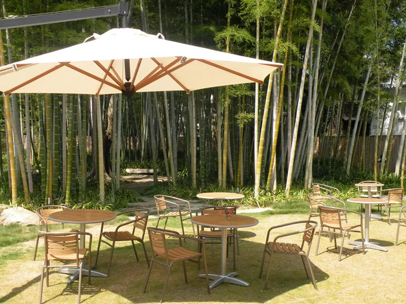 気候のよい日は、風情ある竹林庭園を眺めながらパフェを味わうのもおすすめ