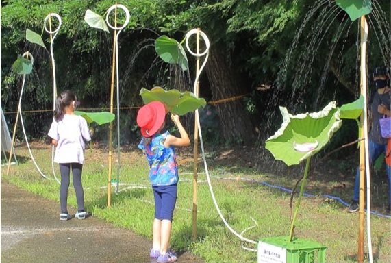 子供たちに大人気の「蓮の葉シャワー」体験