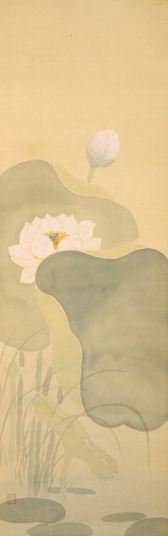 原三溪「白蓮」昭和7年(1932)