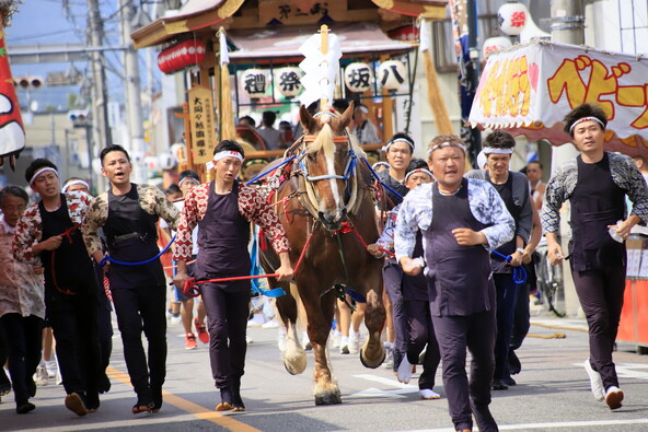 神馬の登場に子供も惹きつけられます(提供:みどり市)