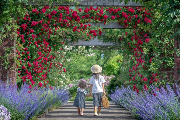旅の記念撮影にぴったり!フォトジェニックな「みつけイングリッシュガーデン」