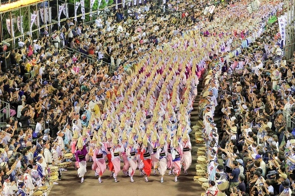 画像提供:真 阿波おどり未来へつなぐ実行委員会