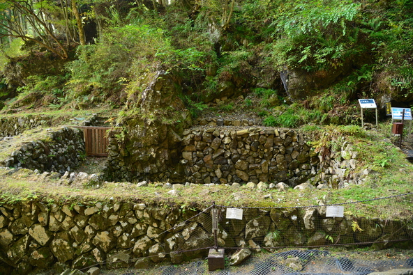 (画像提供:Yoshitaka / PIXTA)