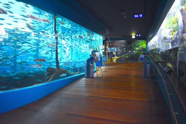 淡水魚専門の水族館「富士湧水の里水族館」