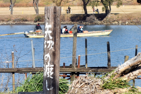 矢切りの渡し(画像提供:route134 / PIXTA)