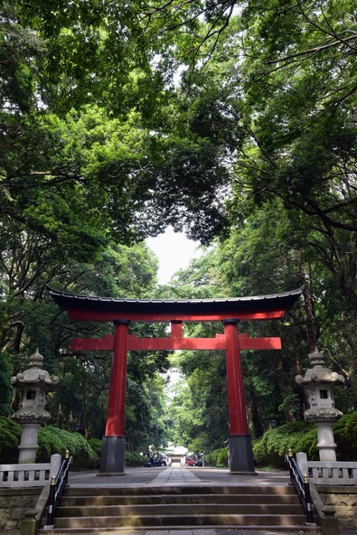 都内にある神社の中でも有数の広さを誇ります