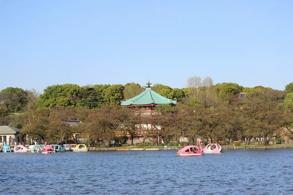 会場となる「不忍池辨天堂」(しのばずのいけべんてんどう)と不忍池(ボート池)