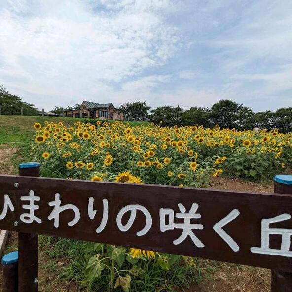 イベント中はワークショップや飲食ブースも登場します
