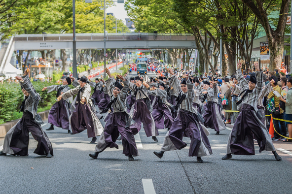 洗練された街・表参道を舞で彩る、よさこいの踊り手たち