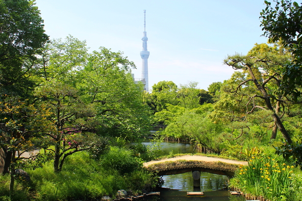 園内からは「東京スカイツリー」を望めます(画像提供:hideko / PIXTA)