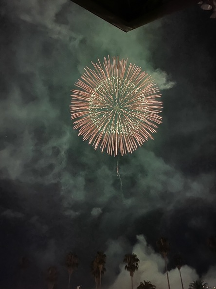 夏の夜を彩る大輪の花火が、夜空いっぱいに咲き誇ります