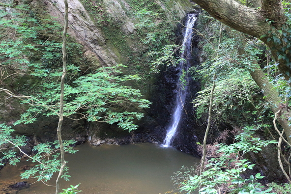 黒滝(画像提供:佐久田隆司 / PIXTA)