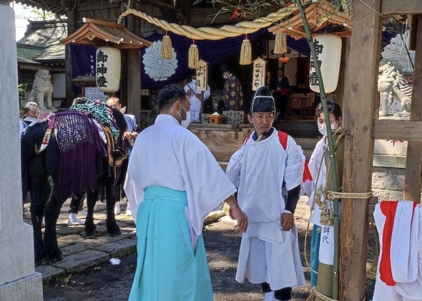神社でお清めを受ける馬たち