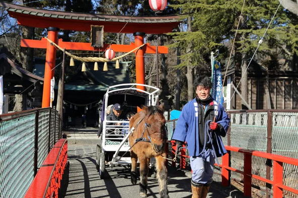富士の裾野のまちを馬車で観光!