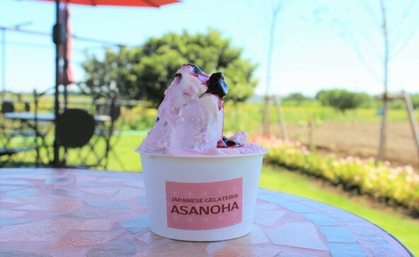 JAPANESE GELATERIA ASANOHA(ジャパニーズジェラテリアアサノハ)