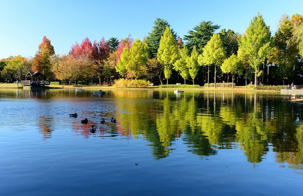 埼玉県営 彩の森入間公園(写真提供:入間市)