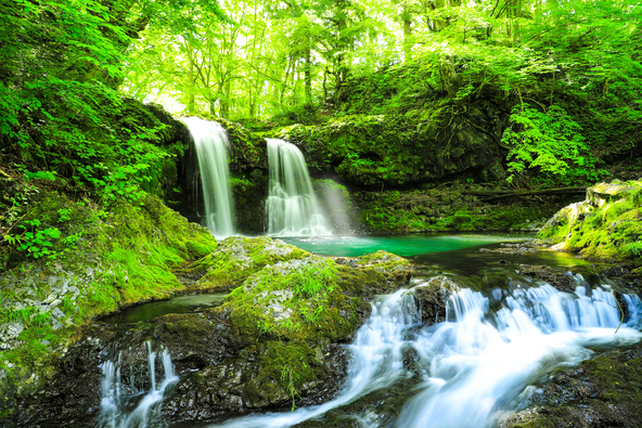 新緑の頃の「鐘山の滝」(画像提供:あずさ / PIXTA)