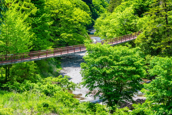 秋川渓谷のシンボル「石舟橋」は紅葉シーズンも見どころ(画像提供:denkei / PIXTA)