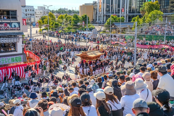 「岸和田だんじり祭」には毎年40万人もの人々が世界中から観覧に訪れます