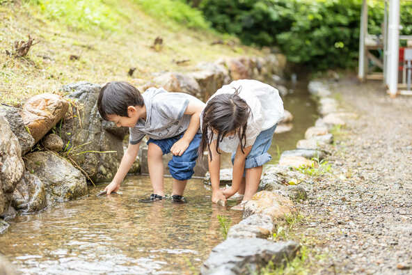 小川に放流された鮎を素手で捕まえる「鮎つかみ」は子供に大人気