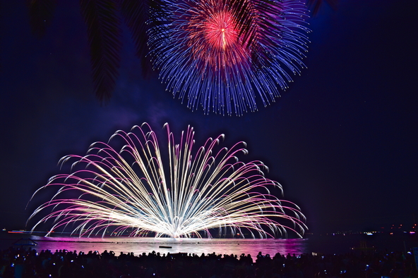 海を華やかに彩る花火(画像提供:頼朝 / PIXTA)