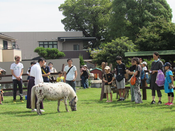 9月20日(土)の「くまのこどもまつり」では、ご神馬(ポニー)とのふれあいや試乗体験も企画されています