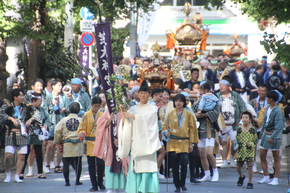 過去に行われた「氏子各町神輿連合渡御」の様子(画像提供:芝大神宮)