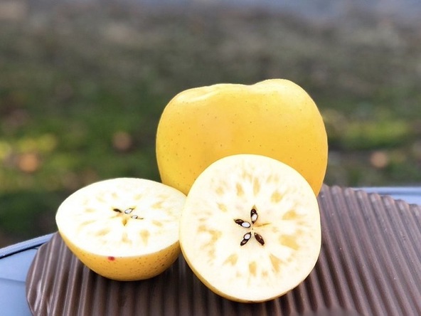 「ぐんま名月」※量り売りのみ