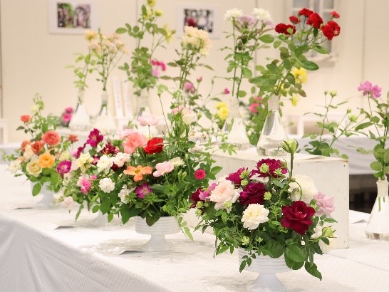 秋のバラ展(2024年撮影)