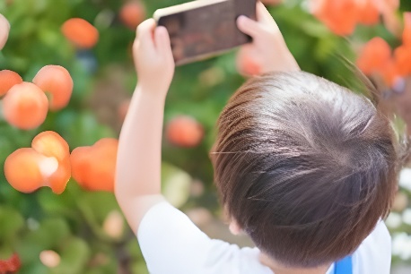 TOKYO PARKS PLAY(使用イメージ)