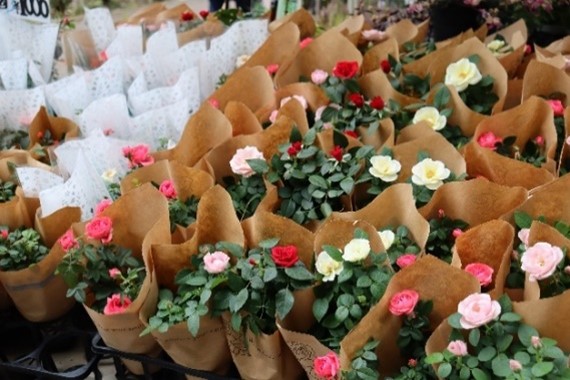 ボタニカルショップ(2024年撮影)