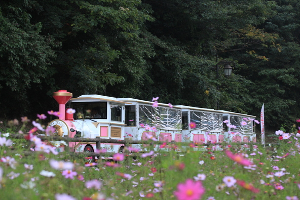 フラワートレイン(画像:sada / PIXTA)