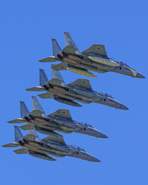 音とスピードを体で感じる航空機の飛行展示に、子供たちも感動すること間違いなし!