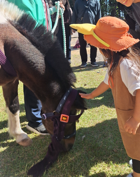 鏑流馬に登場する馬とのふれ合いも♪
