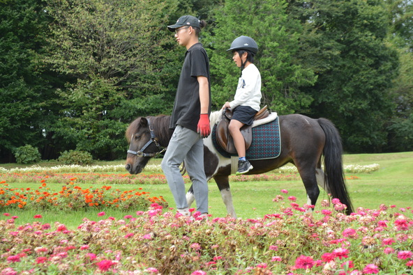 10月4日(土)、5日(日)は無料入園日! 「ポニーの乗馬体験」などのイベントも開催されます