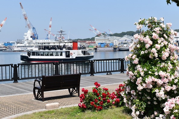 秋バラが咲く公園内はロマンチックな雰囲気に包まれています