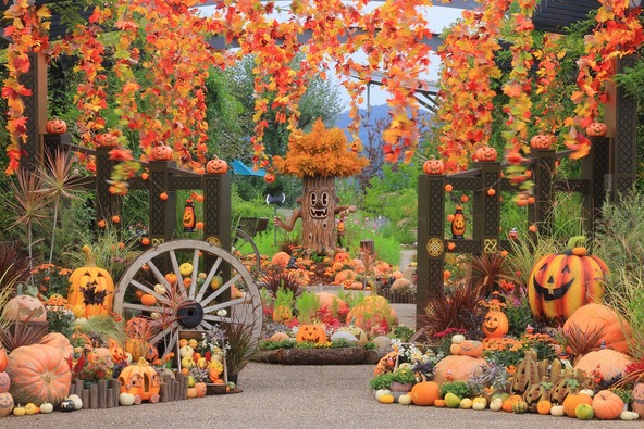 バラと草花のエリアを中心にハロウィンのフォトスポットが登場(過去開催時の様子)